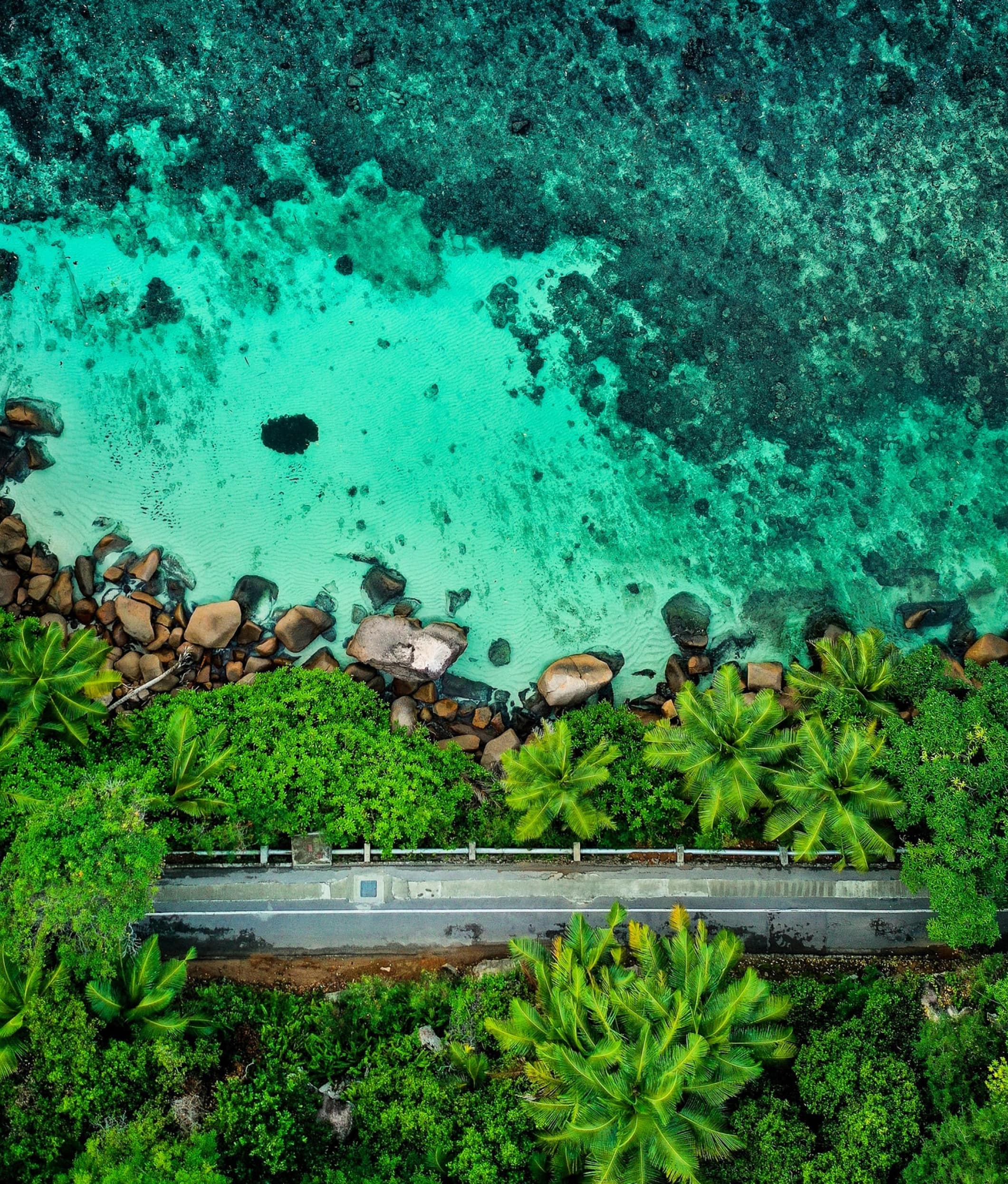 Road cutting through the jungle of the Seychelles