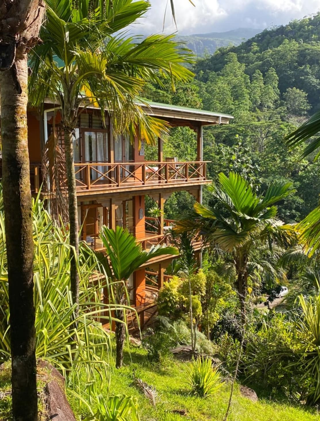 Spectacular accommodation sits amongst the trees of the Seychelles