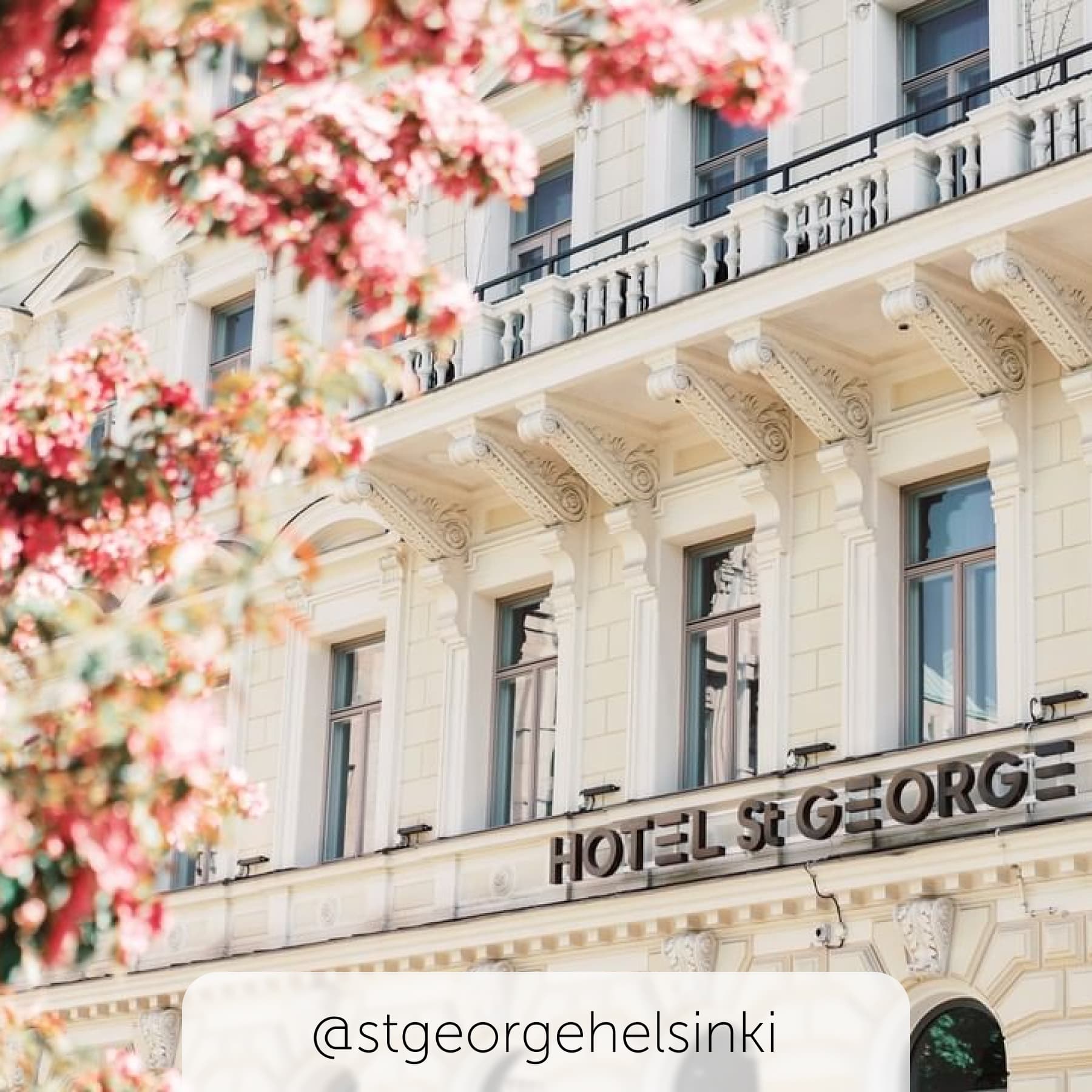 Cherry blossoms sit in front of the picturesque Hotel St George in Helsinki