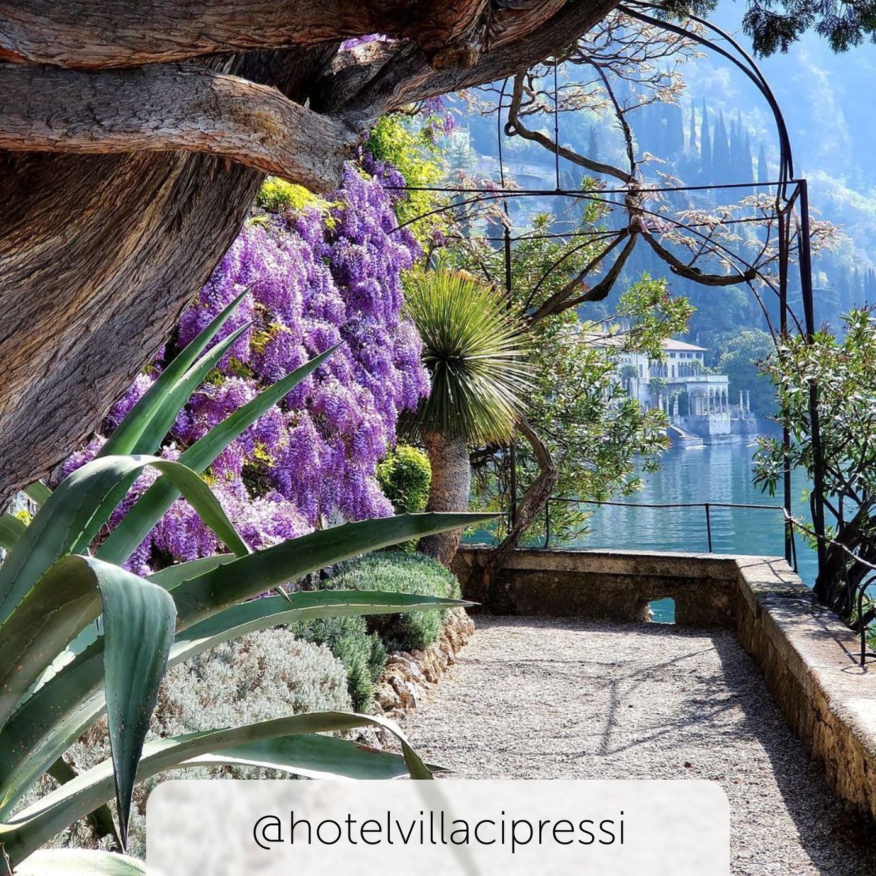 Villa Cipressi's beautiful botanical gardens