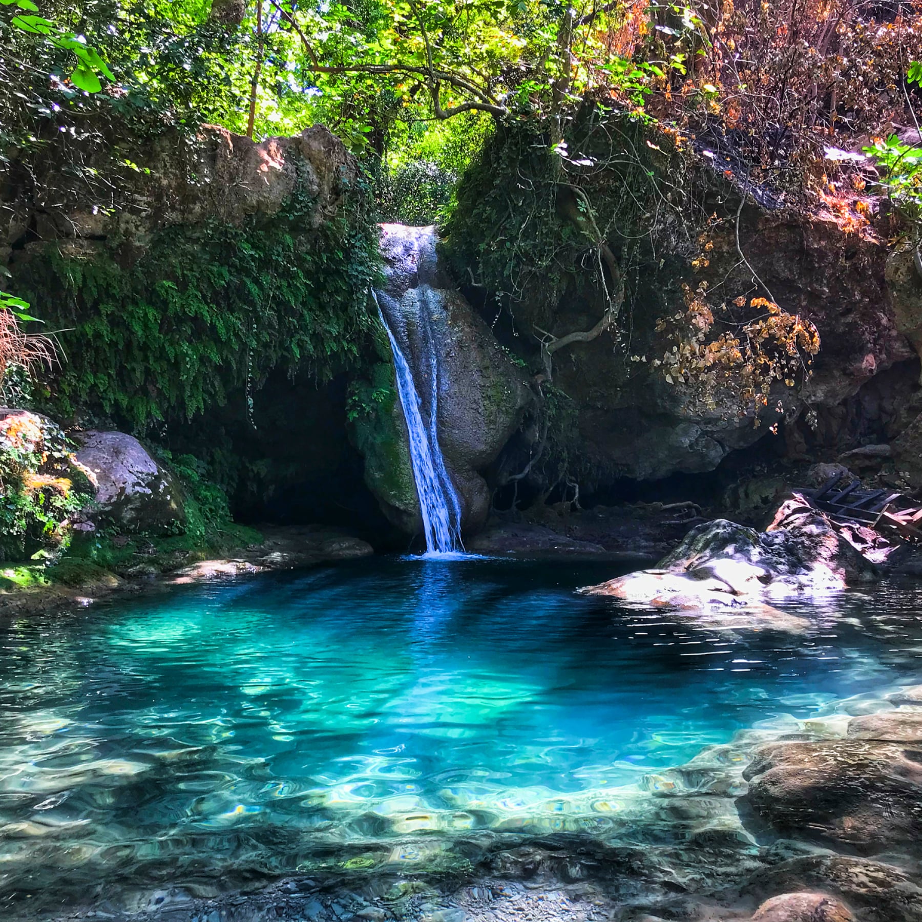 Marmaris National park