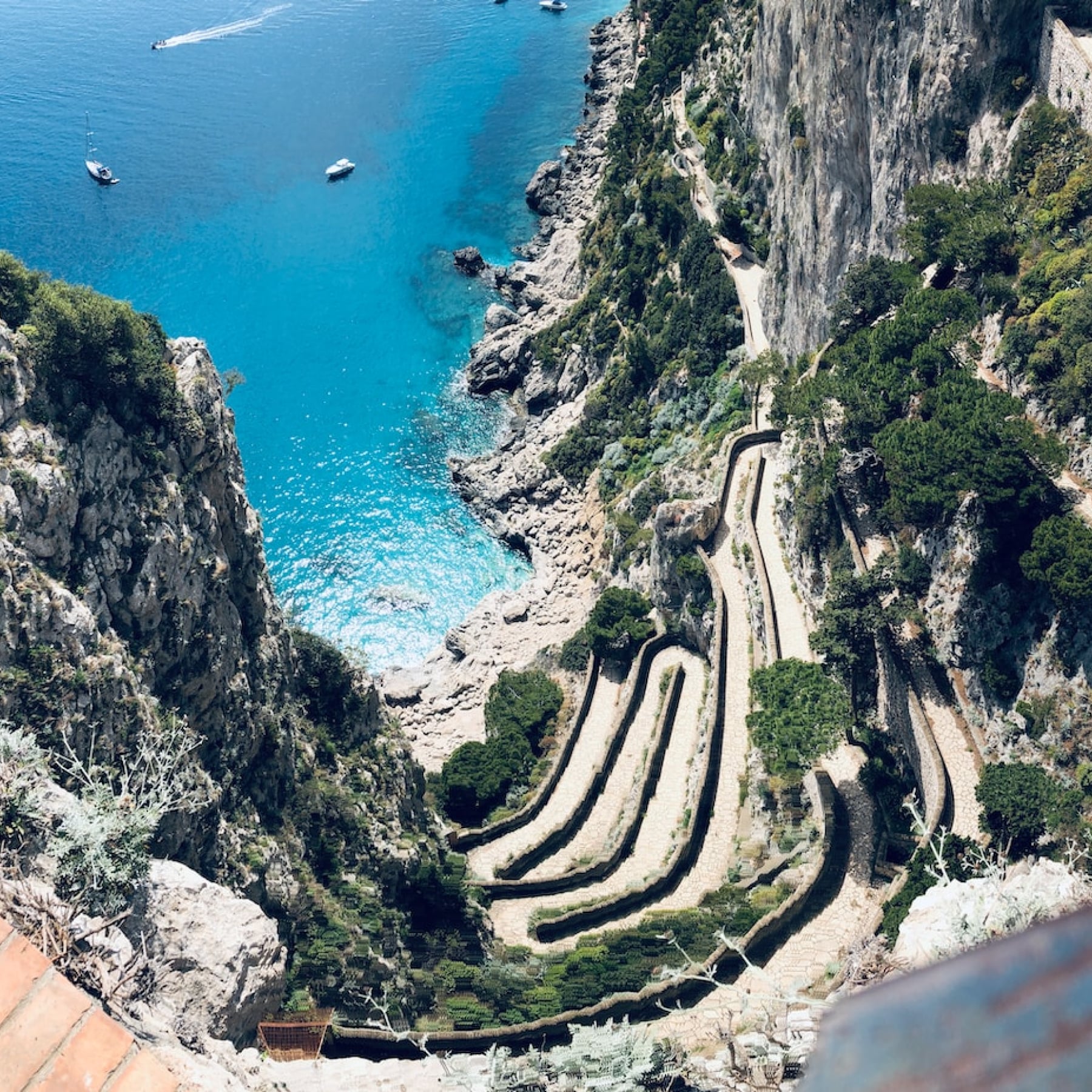 Aerial shot of Augustus Gardens