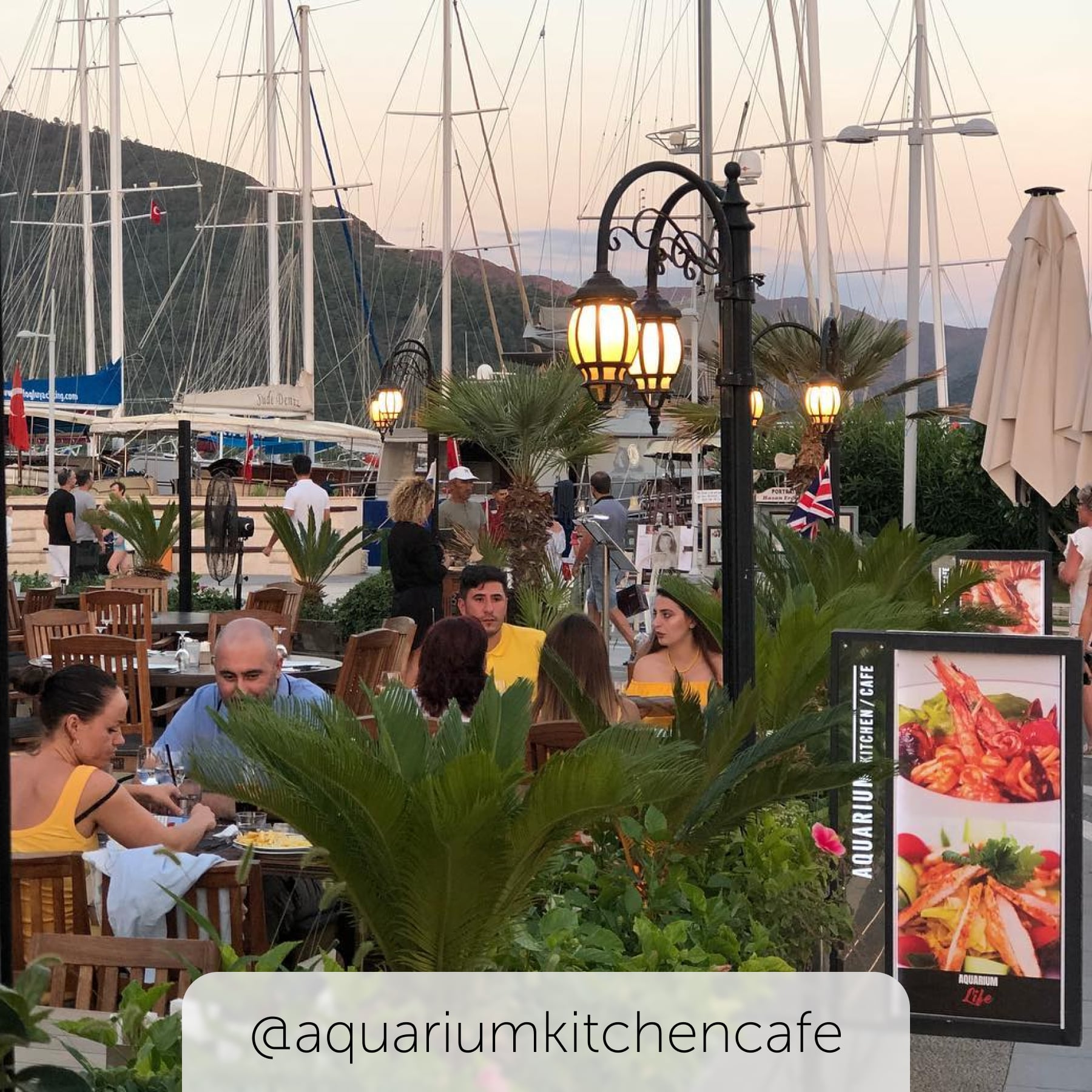 Outside the Aquarium Kitchen Cafe