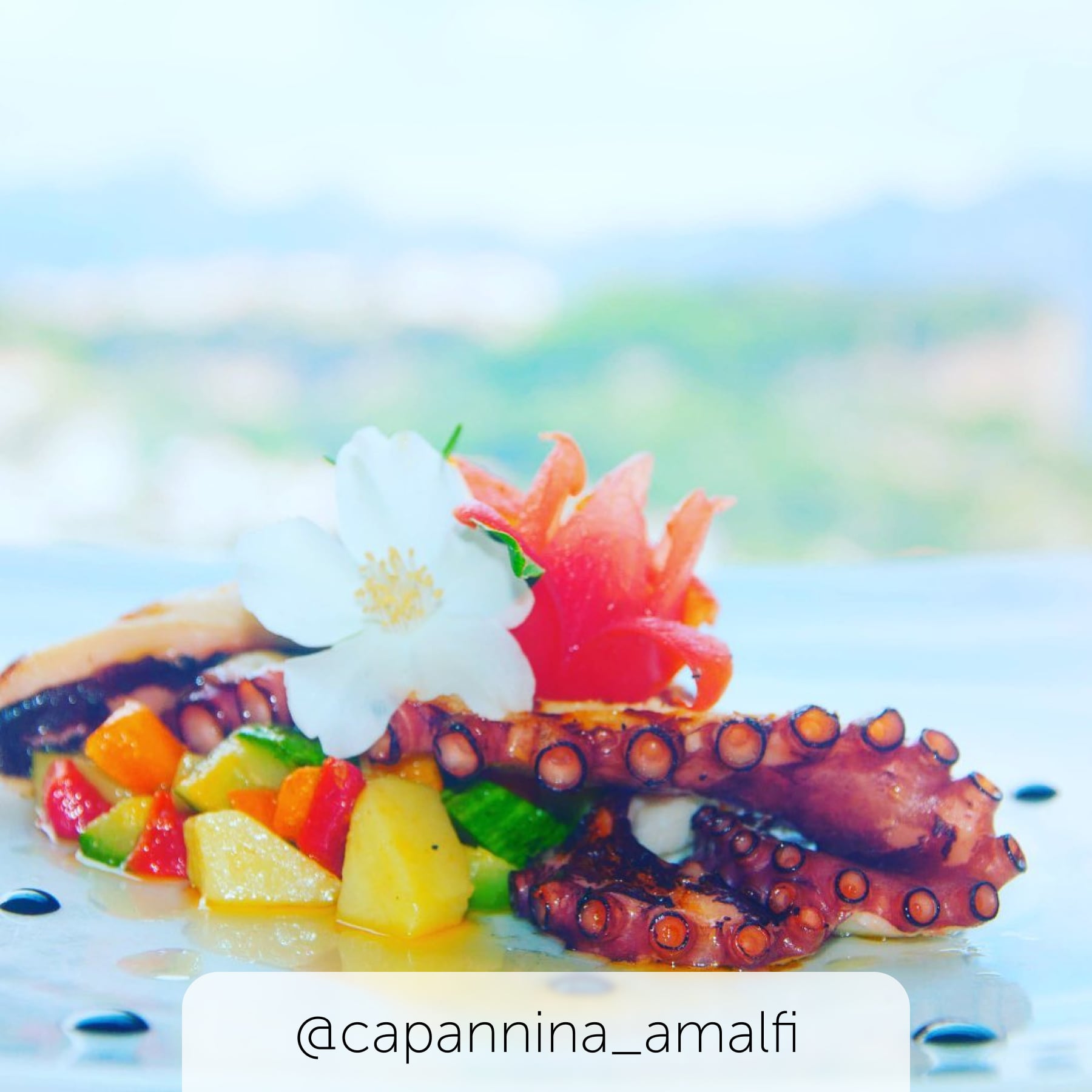 Pretty seaside food even with flowers