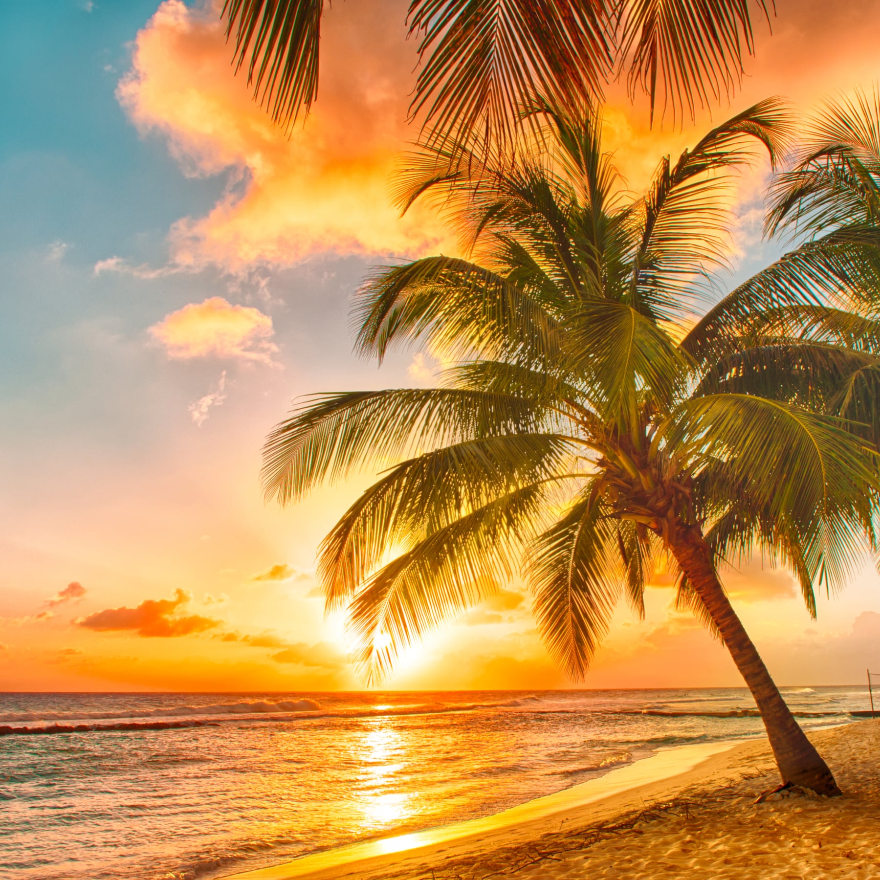 Barbados is one of the best places to spend Christmas