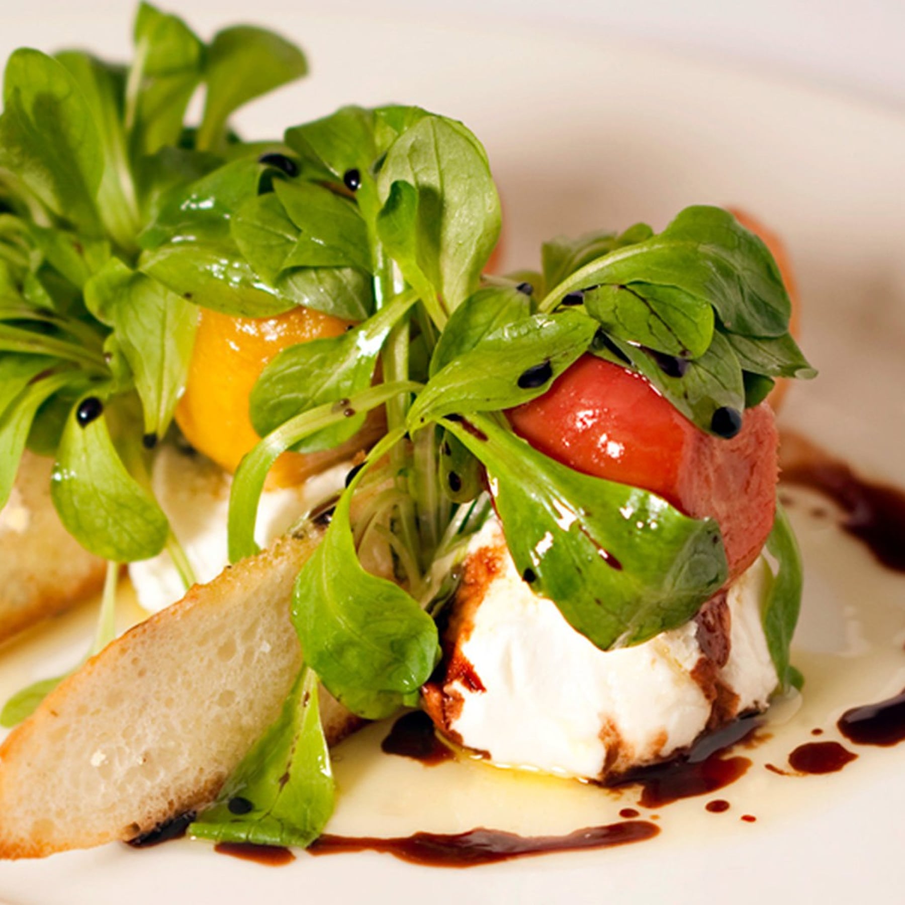 Mooo restaurant serving up a colourful dish