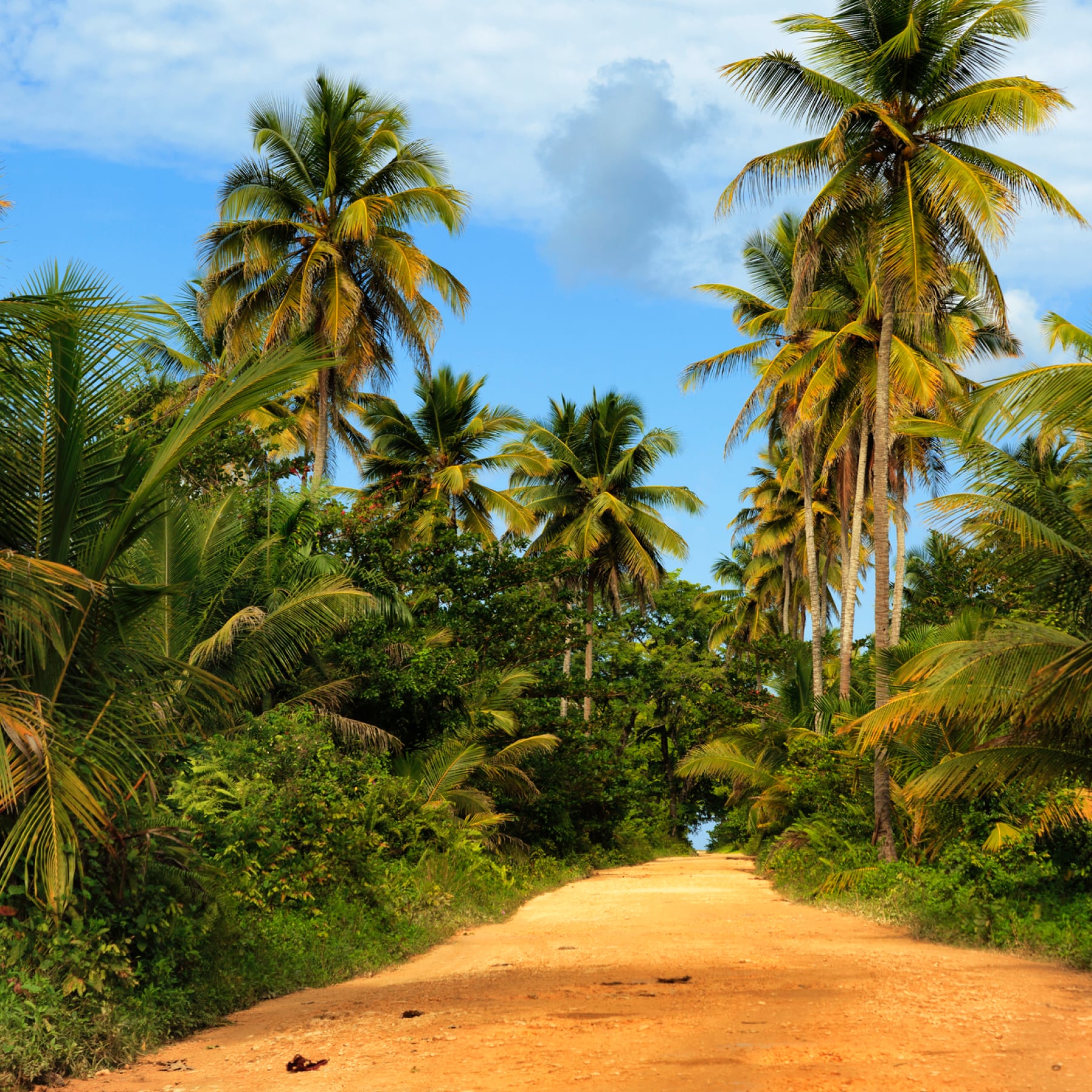 Playa Rincón