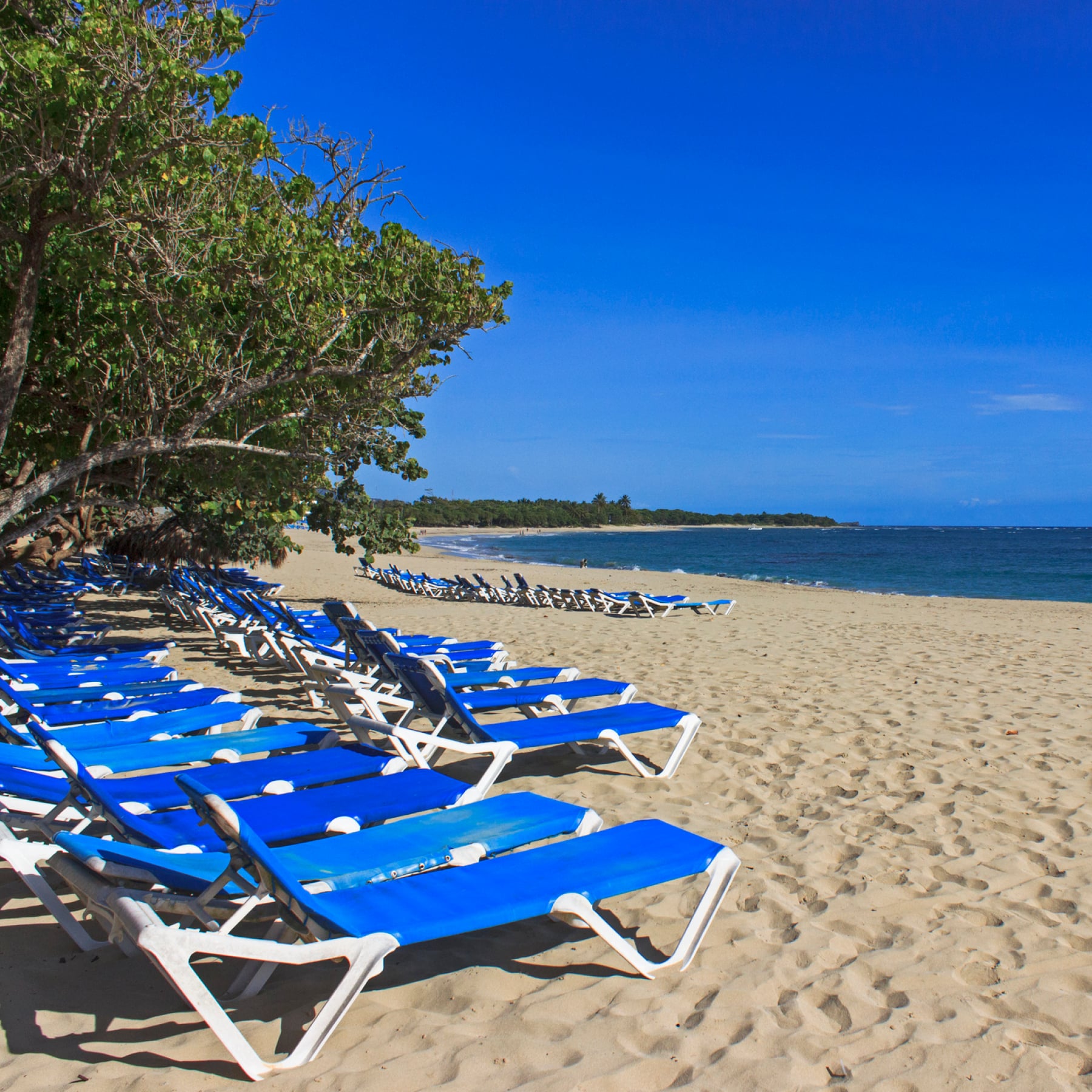 Playa Dorada