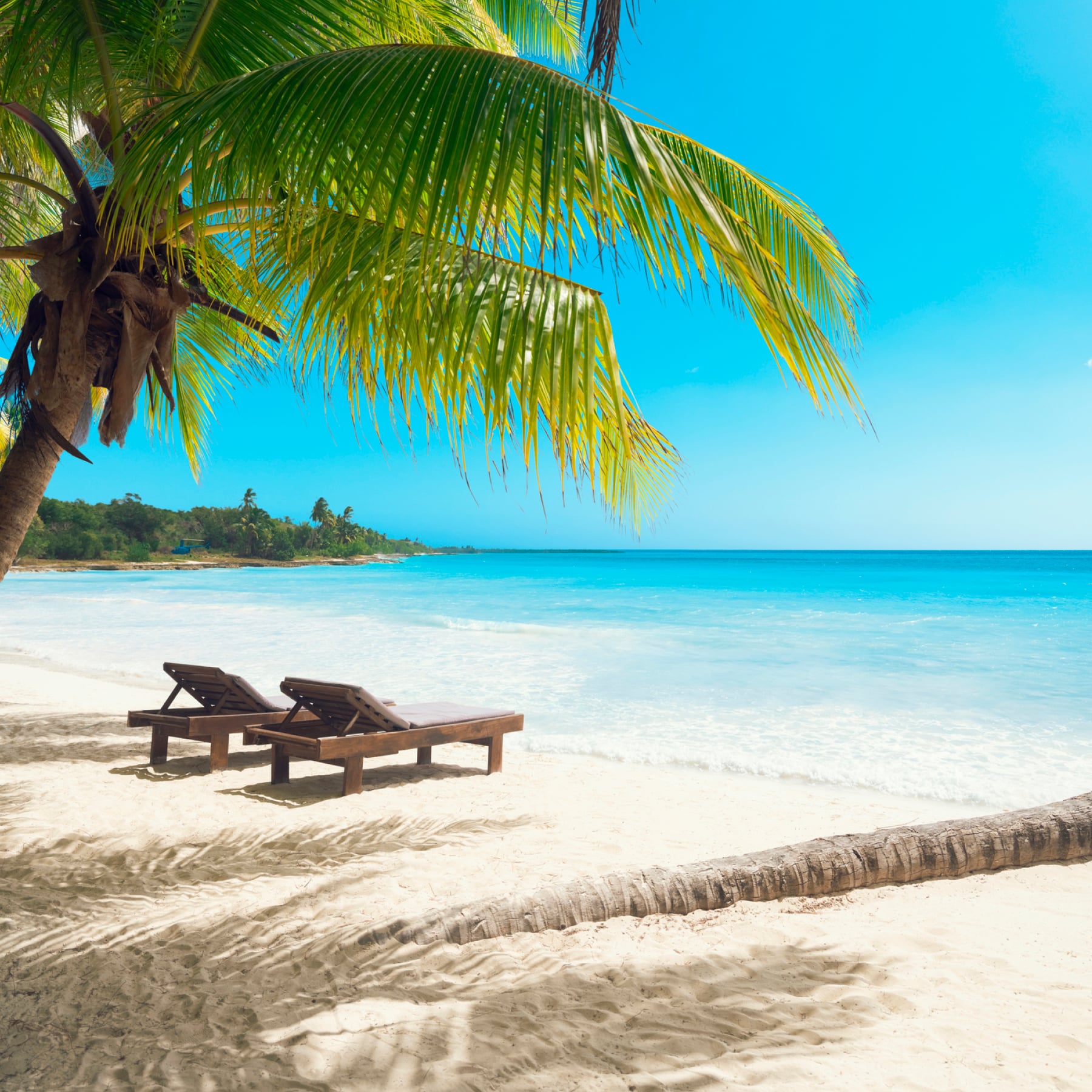 The idyllic and beautiful Saona island