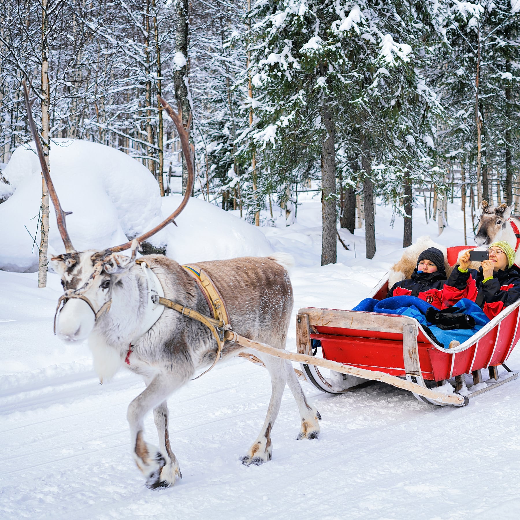 Lapland is one of the best places to spend christmas for all the family