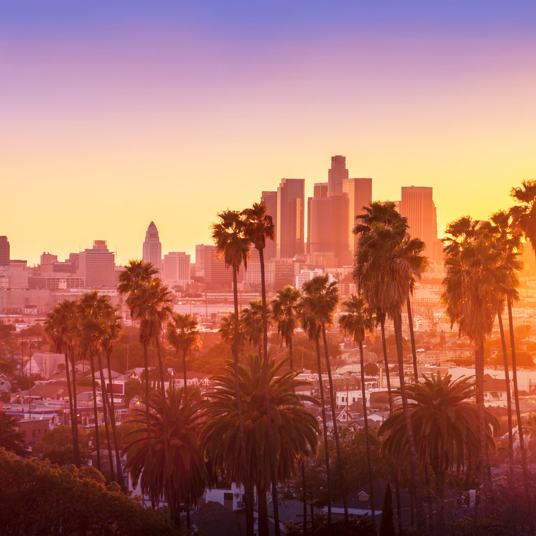 LA is one of the best places to spend thanksgiving