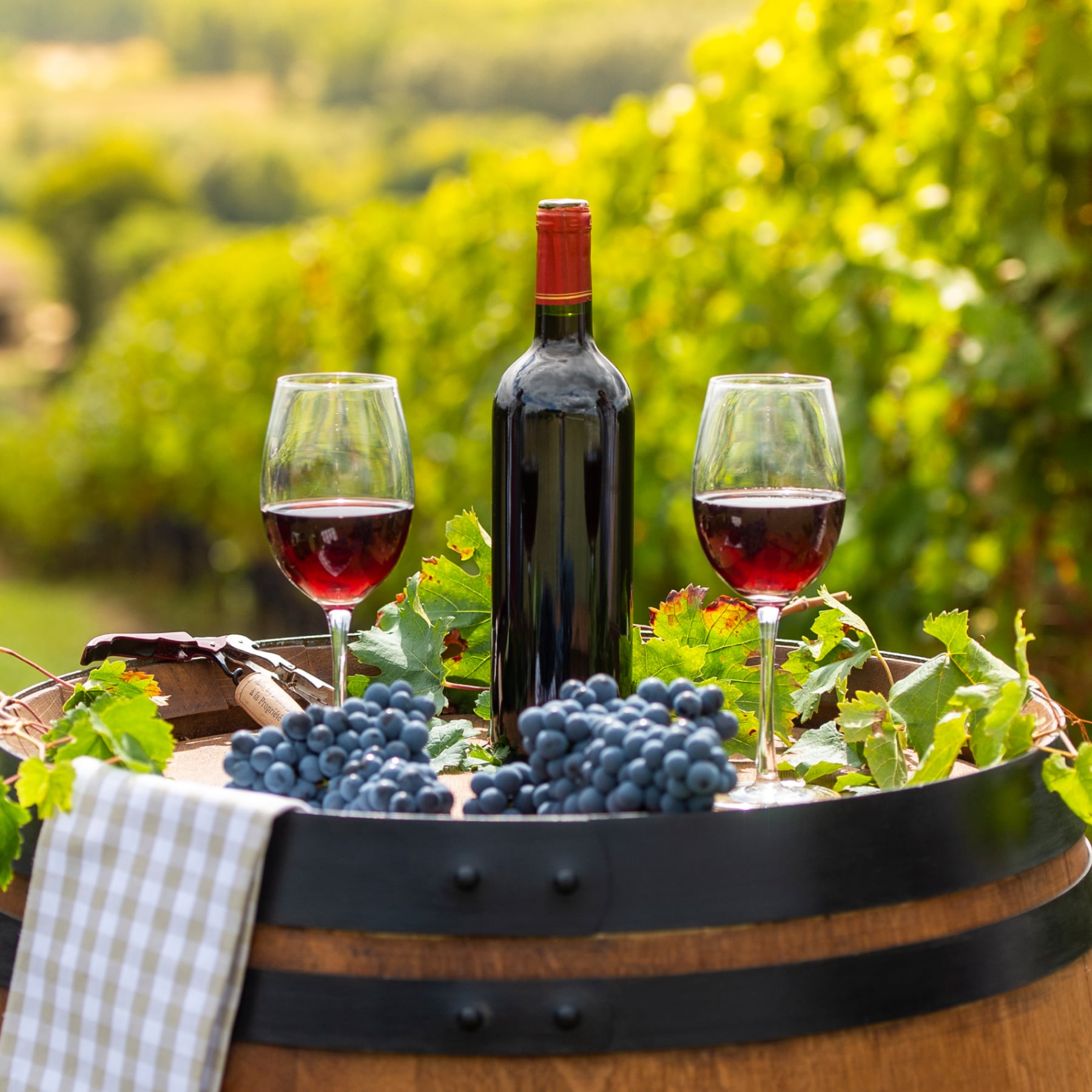 Bordeaux is an ideal place for a wine tasting holiday