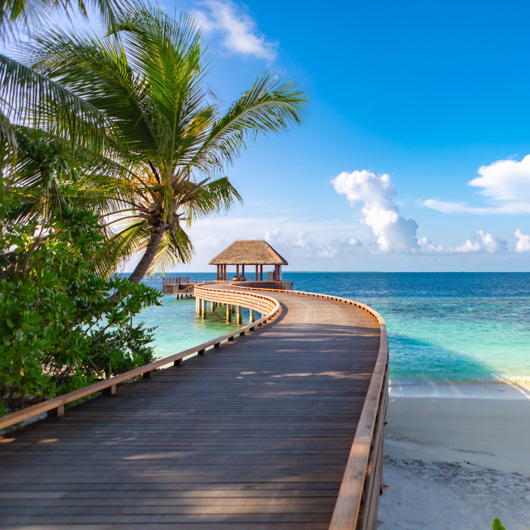 Maldives holiday in January