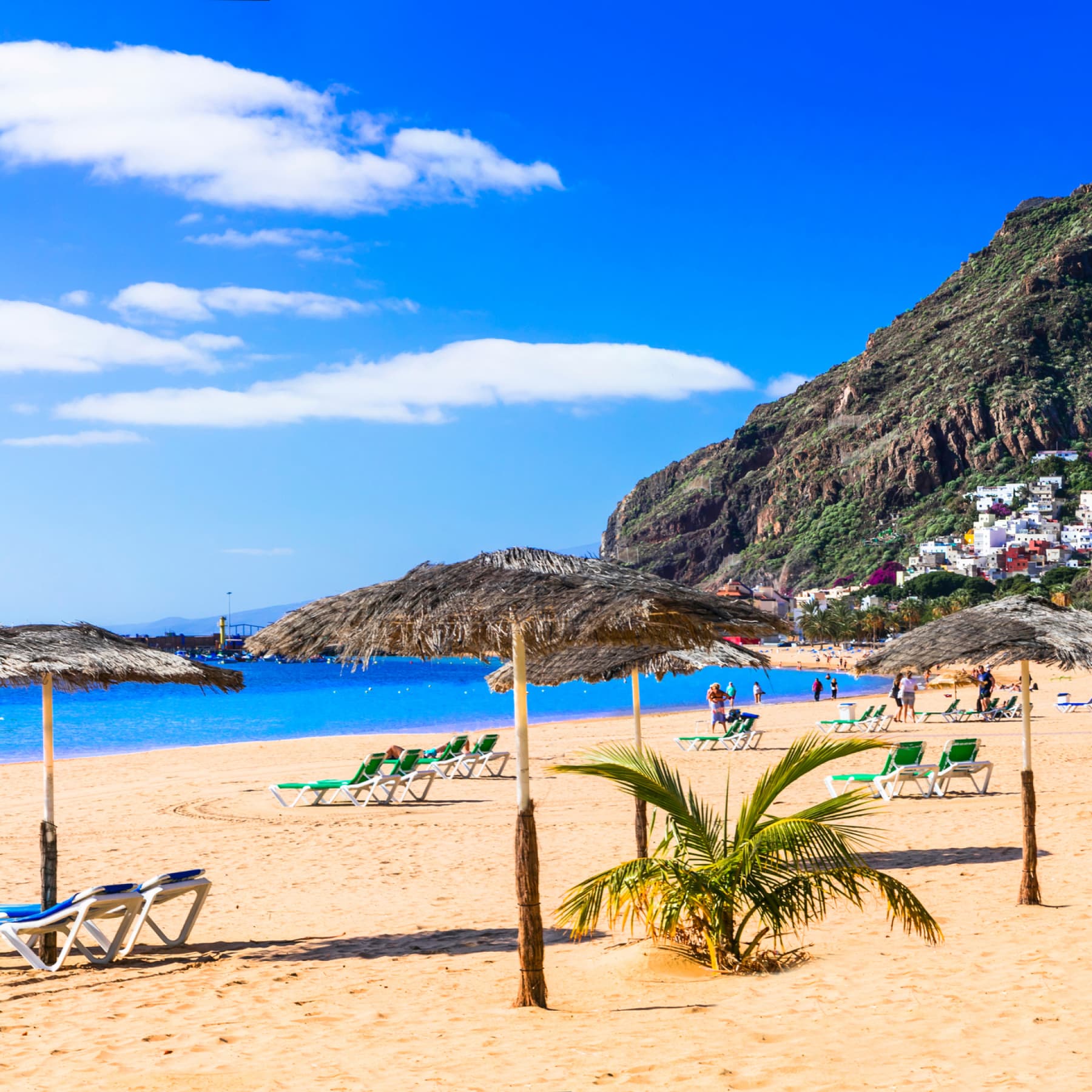 Golden beaches with mountainous backgrounds in Tenerife
