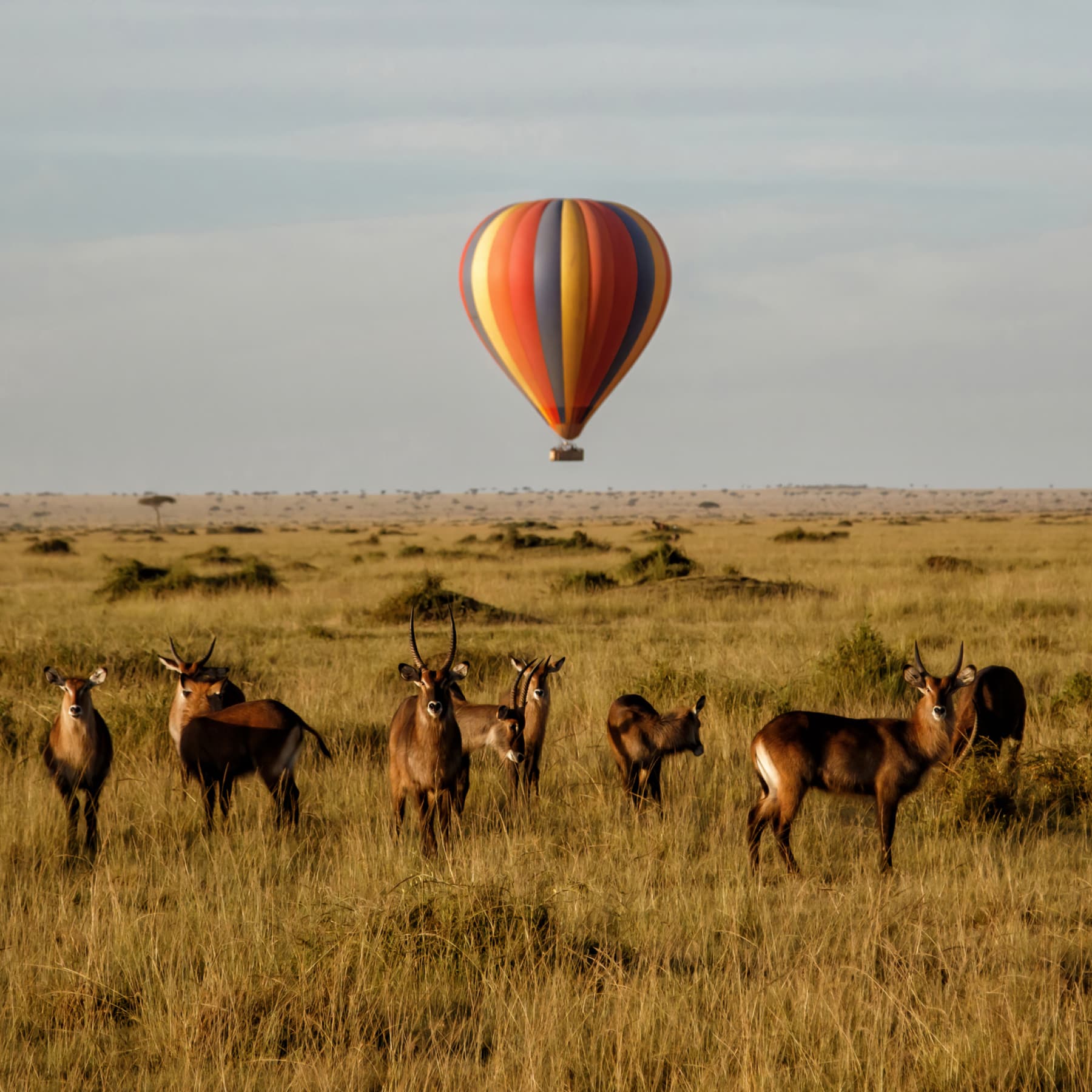 Kenya is a great option for half term breaks